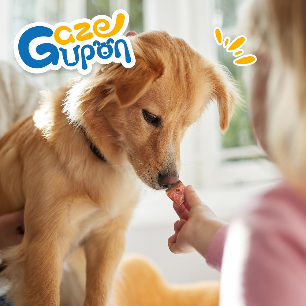 gazeupon présentations pratiques, portions adaptées pour l entrainement quotidien.