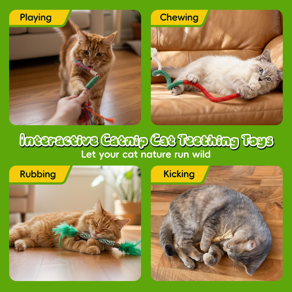 GBSYU ensemble-8-piece-chat, idéal pour jeux quotidiens.