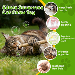 GBSYU sachet-herbe-chat-naturel-remplissable-chat, offre arôme frais et interaction.