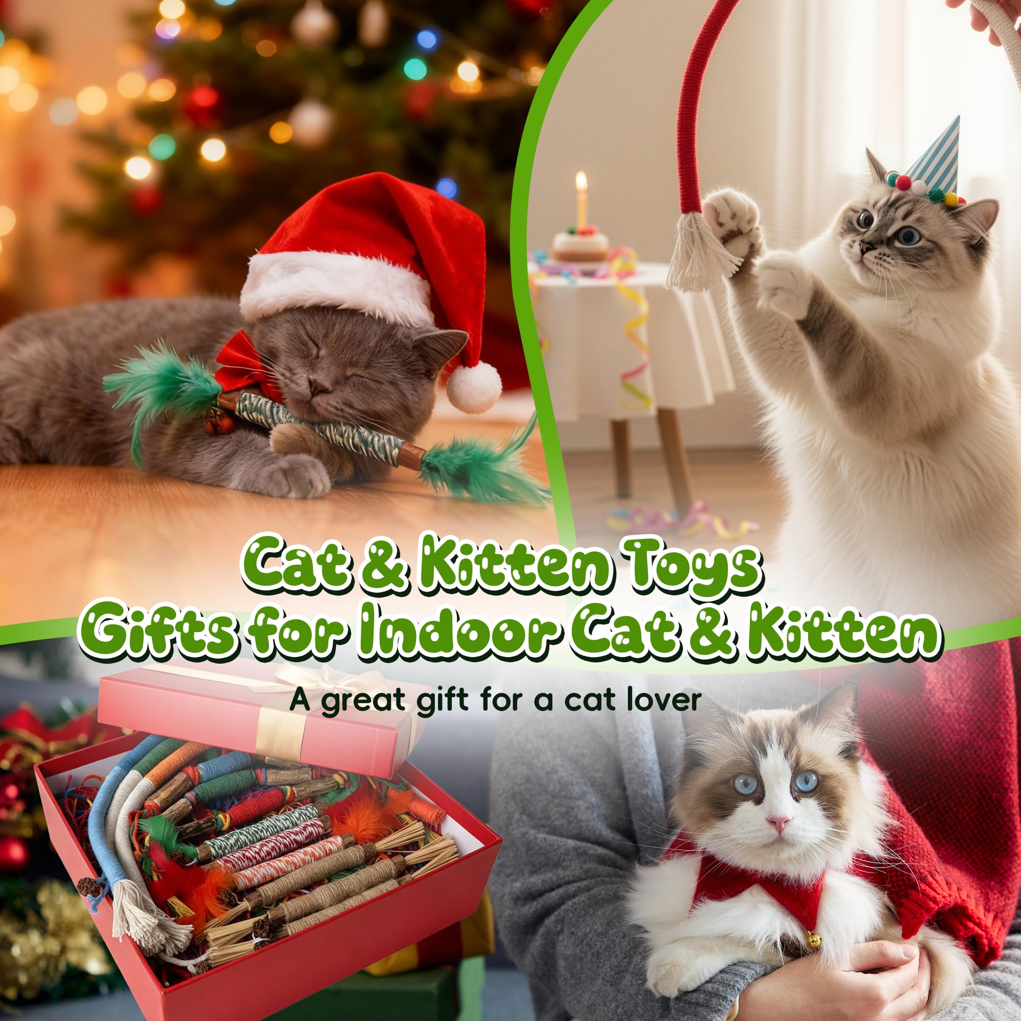 GBSYU sachet-herbe-chat-renouvelable-chat, variation aromatique pour l'intérêt.