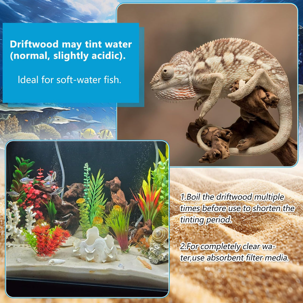 GDMYST assortiment Mopani bois flotté, matériau durable pour aquariums et terrariums.