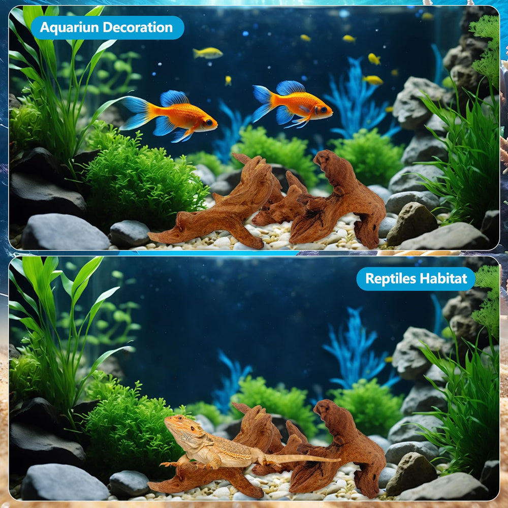 GDMYST bois flotté terrarium, base naturelle pour décor et plantations.