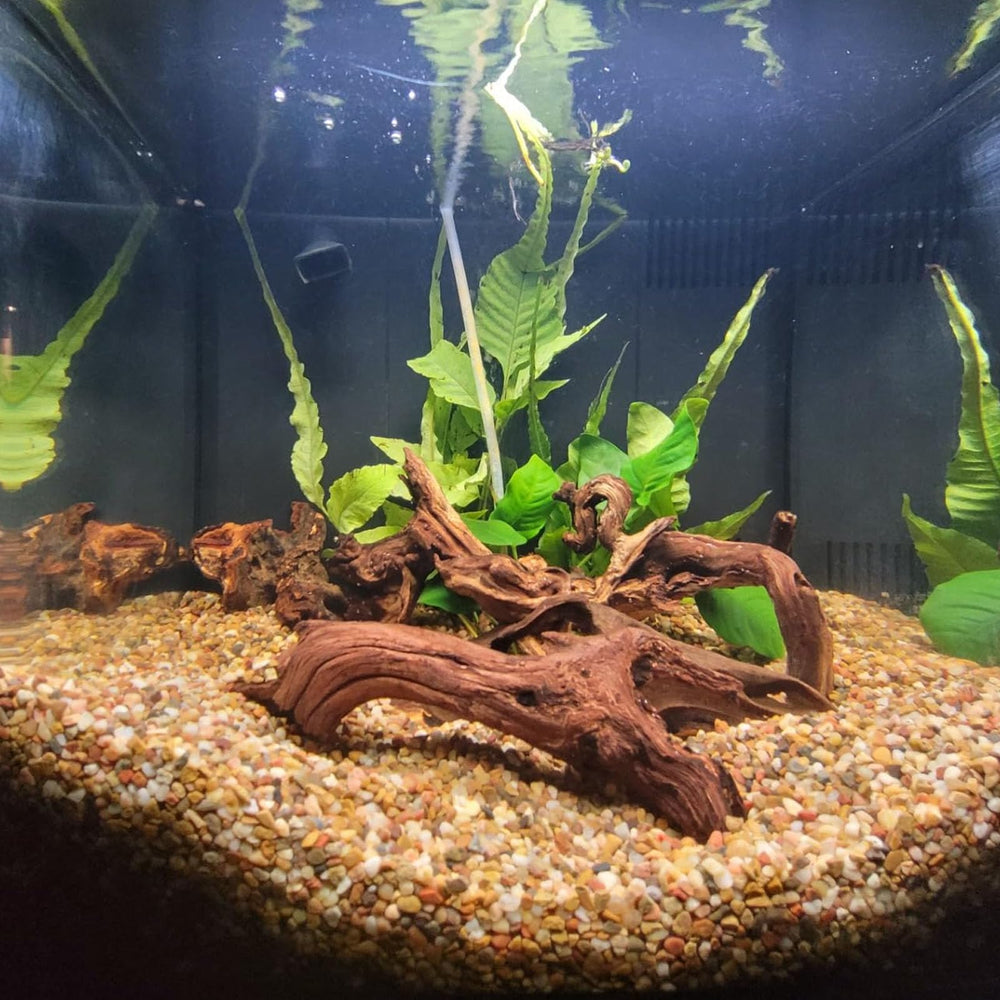 GDMYST bois flotté decoration terrarium, texture naturelle et zones d escalade.