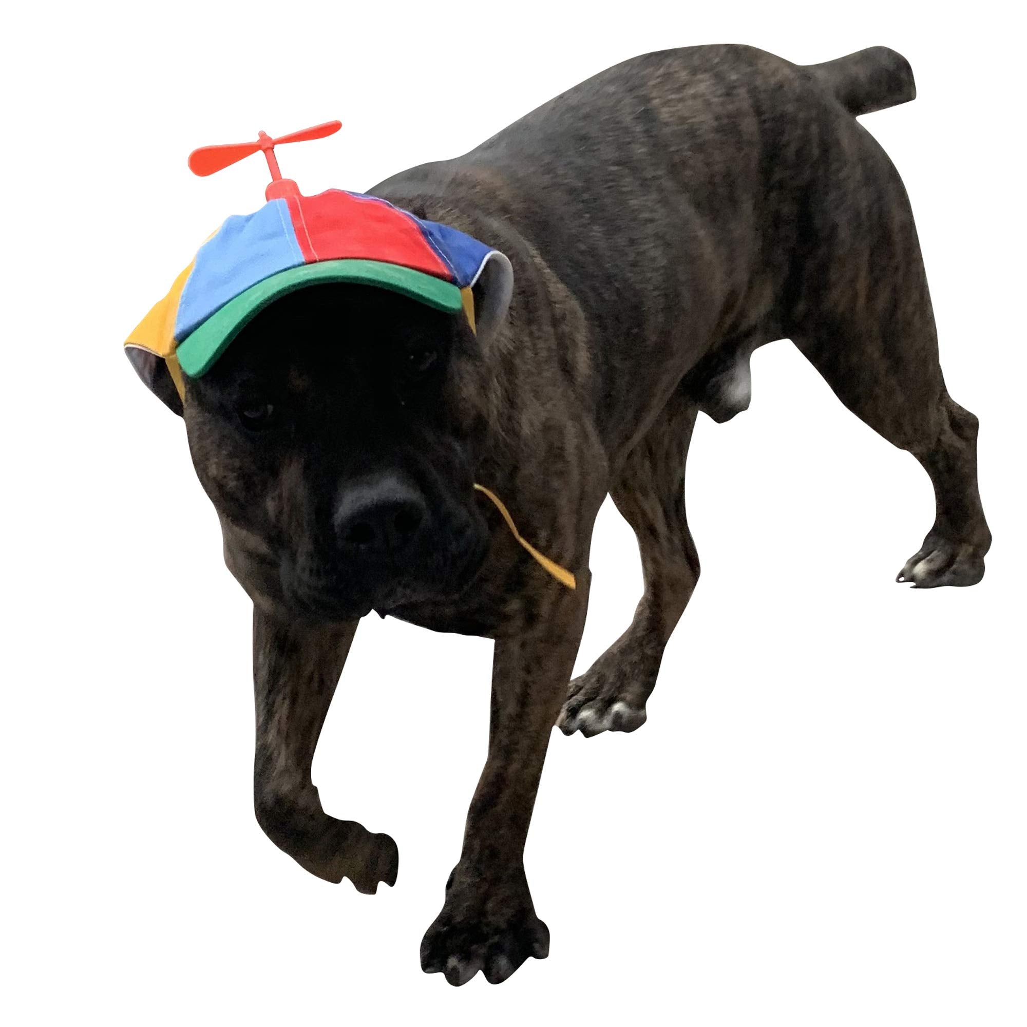 GEANBAYE chapeau chien reglages doubles et corde, adaptation facile à toutes tailles.