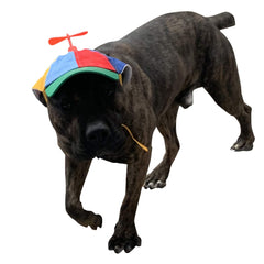GEANBAYE chapeau chien reglages doubles et corde, adaptation facile à toutes tailles.