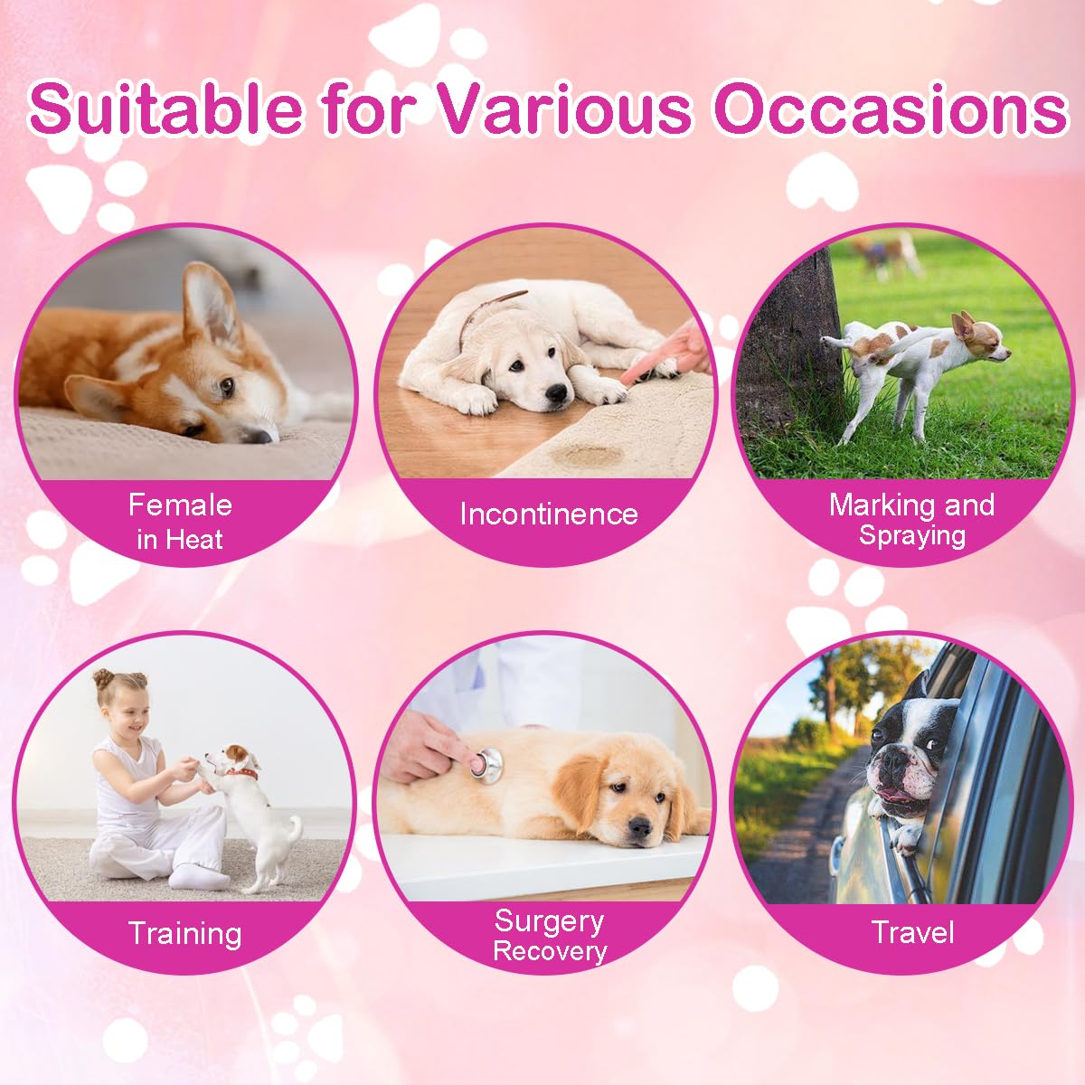 GEHUIZER couches pour chien rose — emballage de 90 couches.