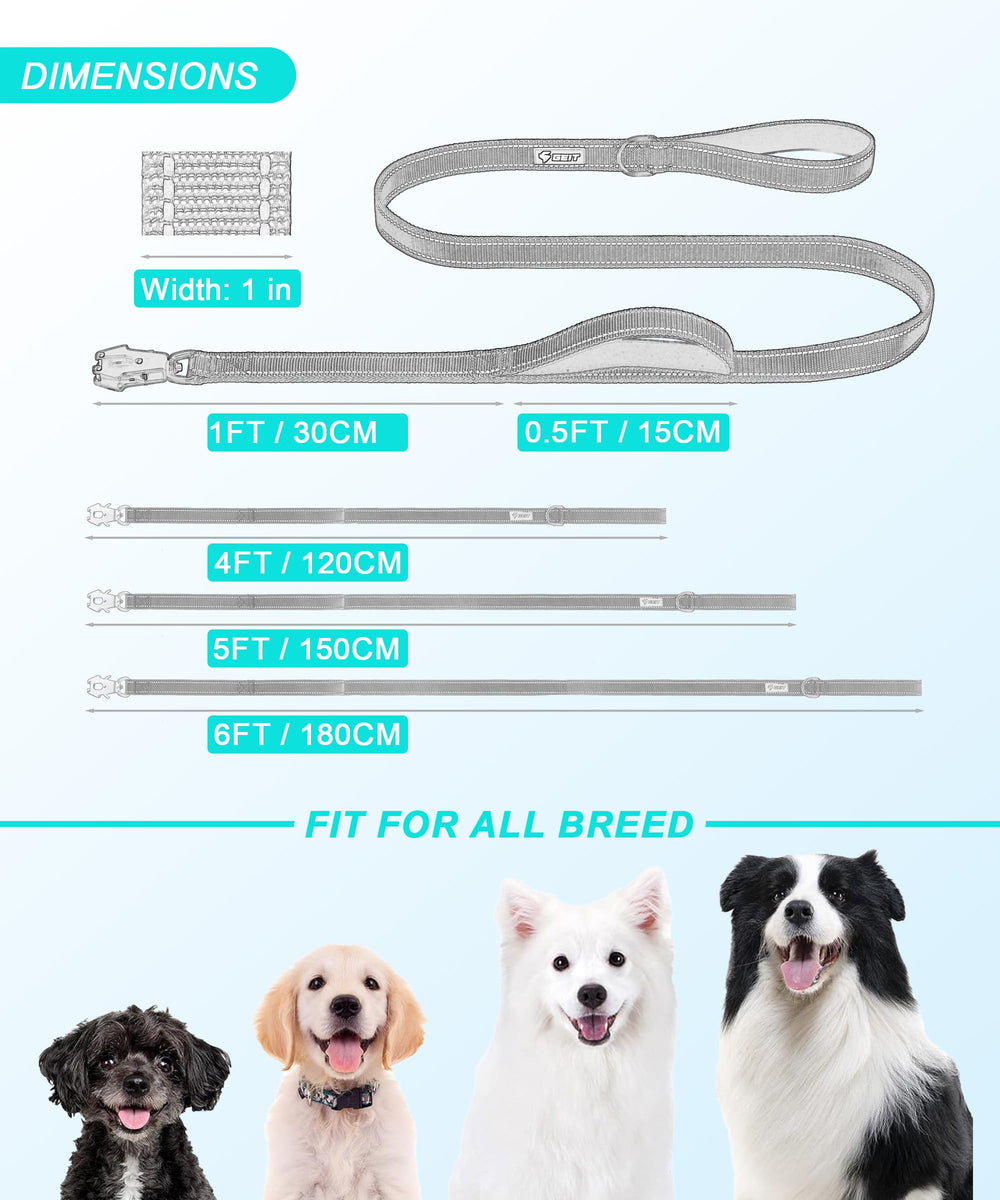 Laisse GEIT adaptée à tous les chiens et promenades en extérieur.