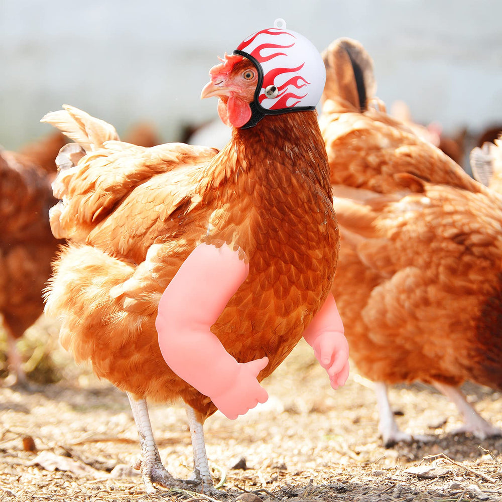 Accessoires photo poulet Gejoy, sessions photos ludiques.