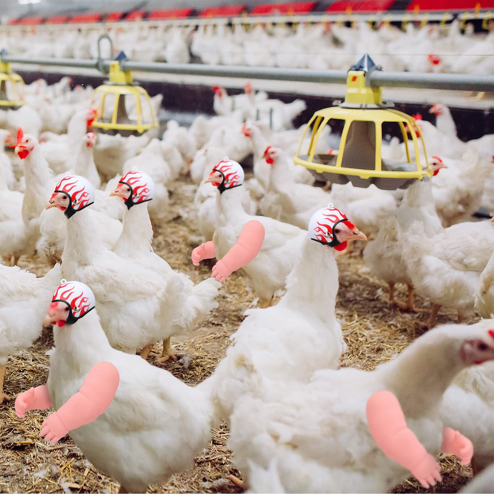 Kit bras-poulet Gejoy, parfait pour photos de famille et evenements.
