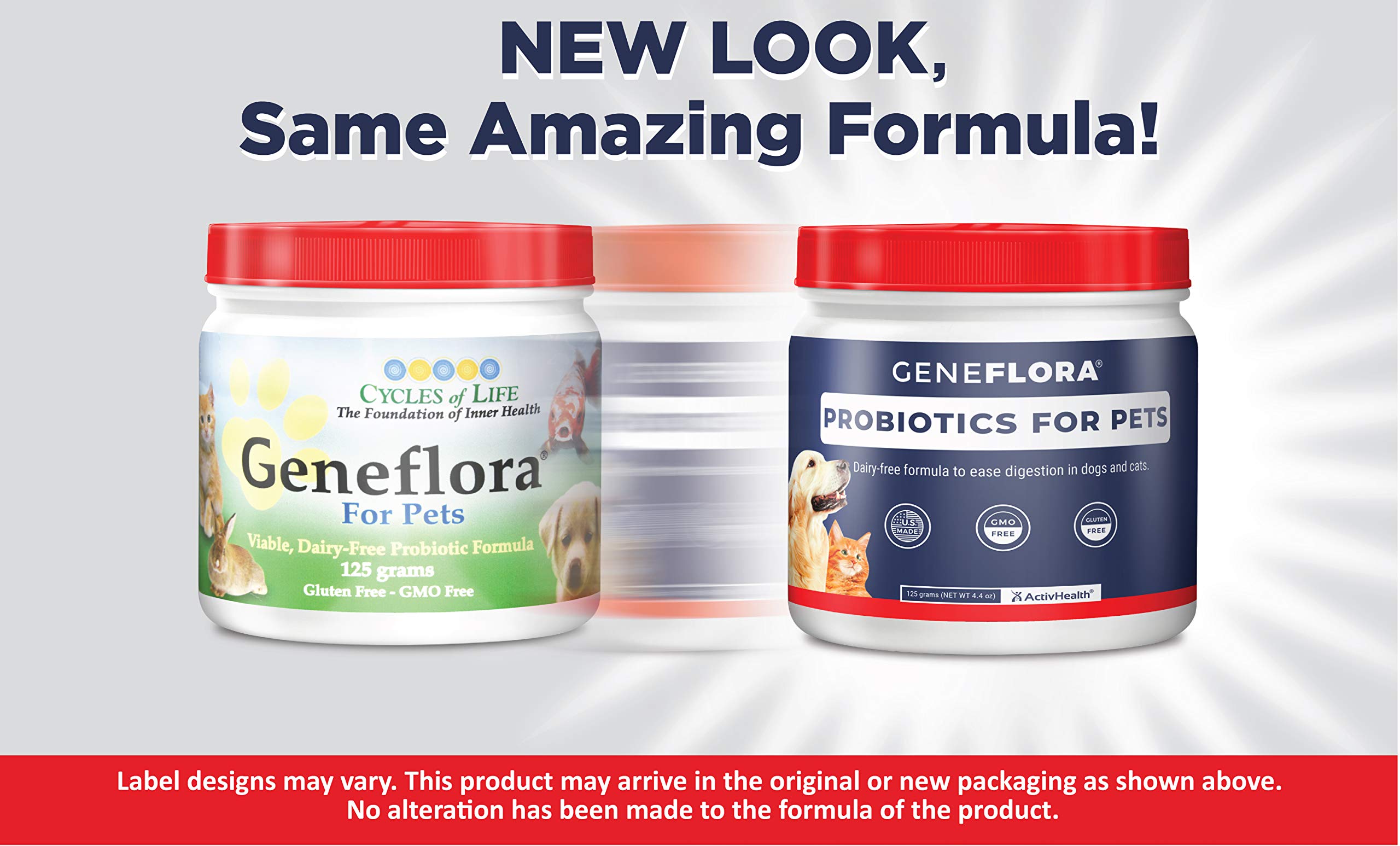 Geneflora poudre probiotiques digestifs chats — équilibre intestinal et confort.