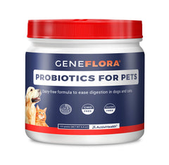 Geneflora poudre probiotiques digestifs chiens — soutien digestion et énergie.