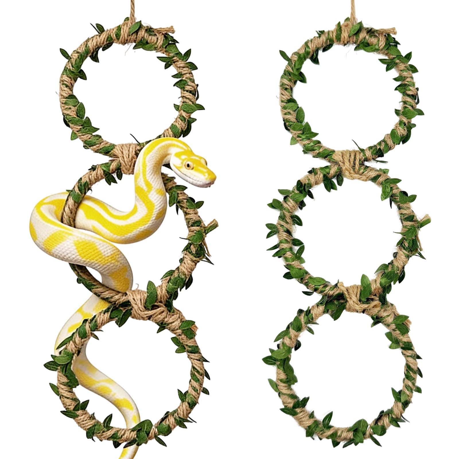 Generic anneaux-escalade-serpent-lot-1 favorisent l'exercice et l'enrichissement du reptile.