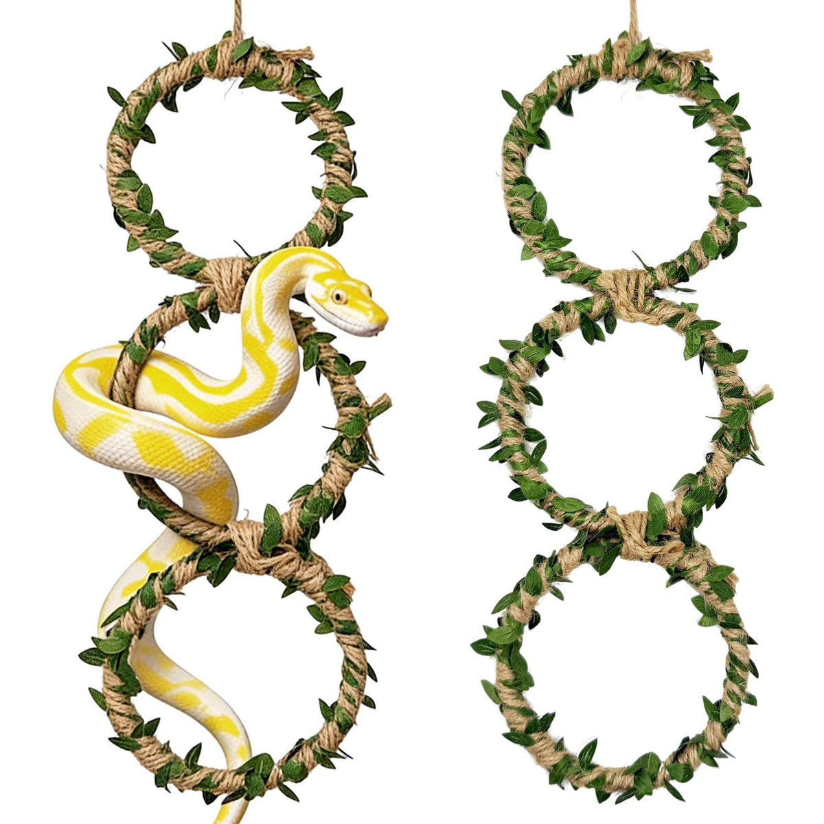Generic anneaux-escalade-serpent-lot-1 favorisent l'exercice et l'enrichissement du reptile.