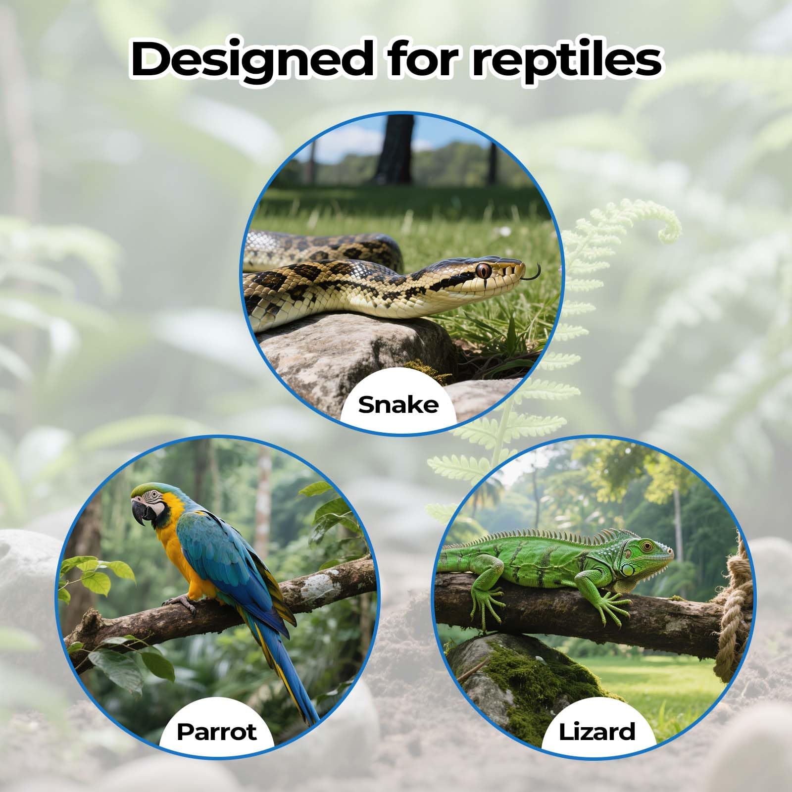 Generic anneaux-escalade-serpent-lot-5 convient à divers reptiles selon l espace.