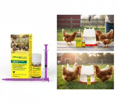 Aquasol Vermifuge dilution eau matin : administration facile lors de la boisson quotidienne