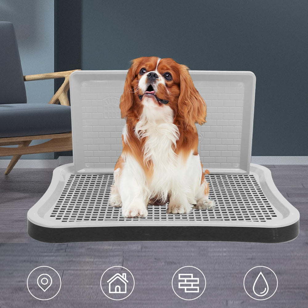 Generic bac-litière pour chien en intérieur avec grille intégrée pour faciliter le nettoyage.