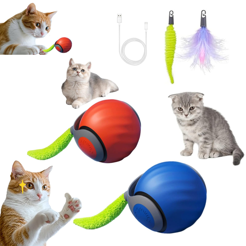 Jouet Generic balle-queue-bleue-orange pour stimulation ludique du chat