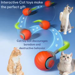 Generic balle-queue-bleue-orange en action, mouvement imprévisible pour chat