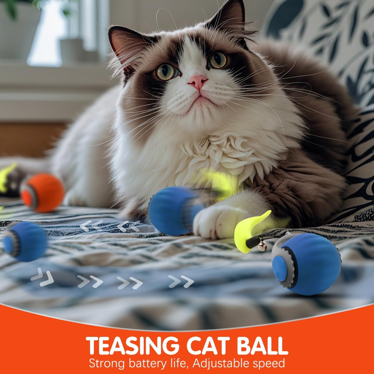 Utilisation en intérieur pour chats avec la balle Generic
