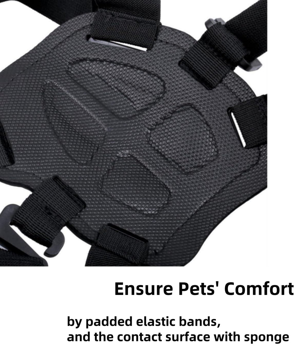 Generic base-rapide: montage rapide compatible GoPro et caméras d’action.