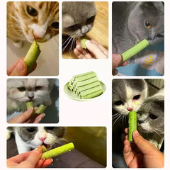 Generic bâtonnets dentaires chat apportant relief des boules de poils et soutien digestif.