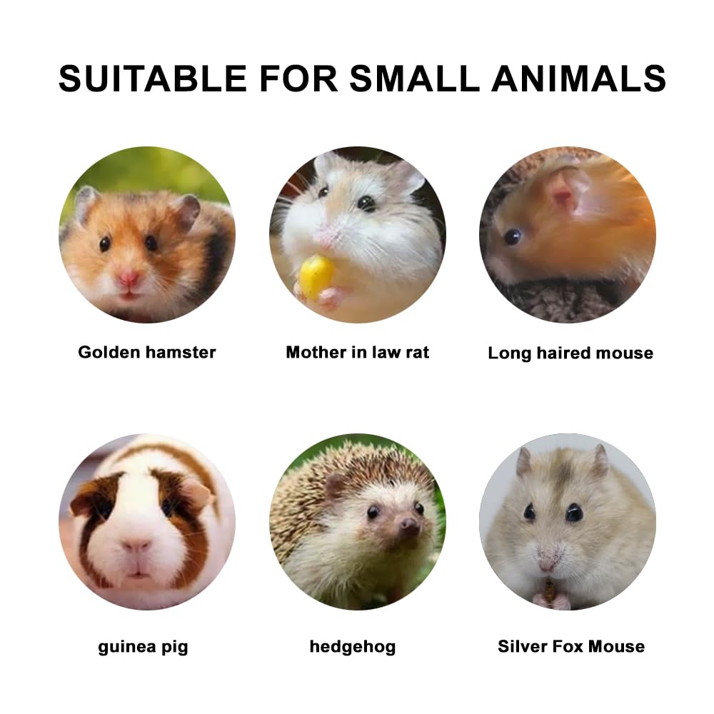 Generic Bien-Etre-Sable-Hamster: ambiance plus propre et confort quotidien pour petits animaux.