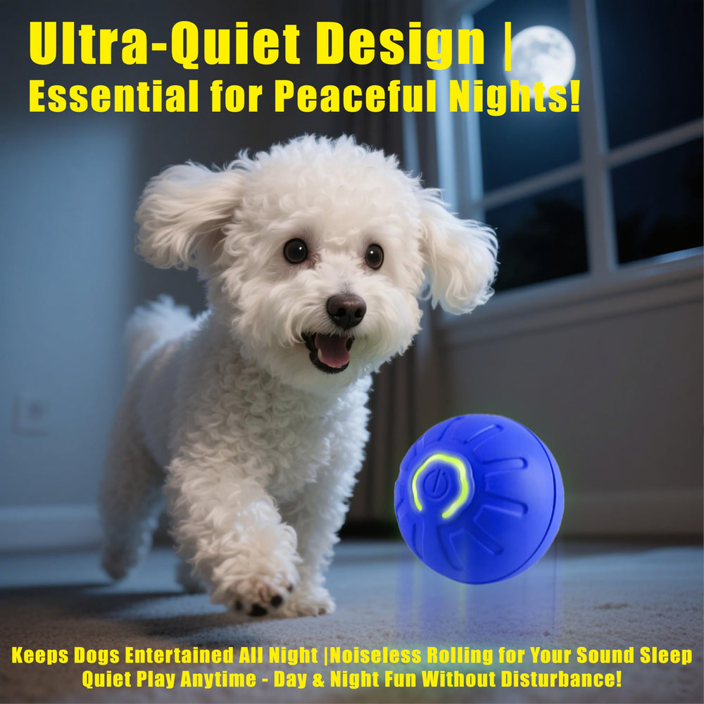 BIONEMAGILI taille Medium adaptée pour petits chiens et chats adultes