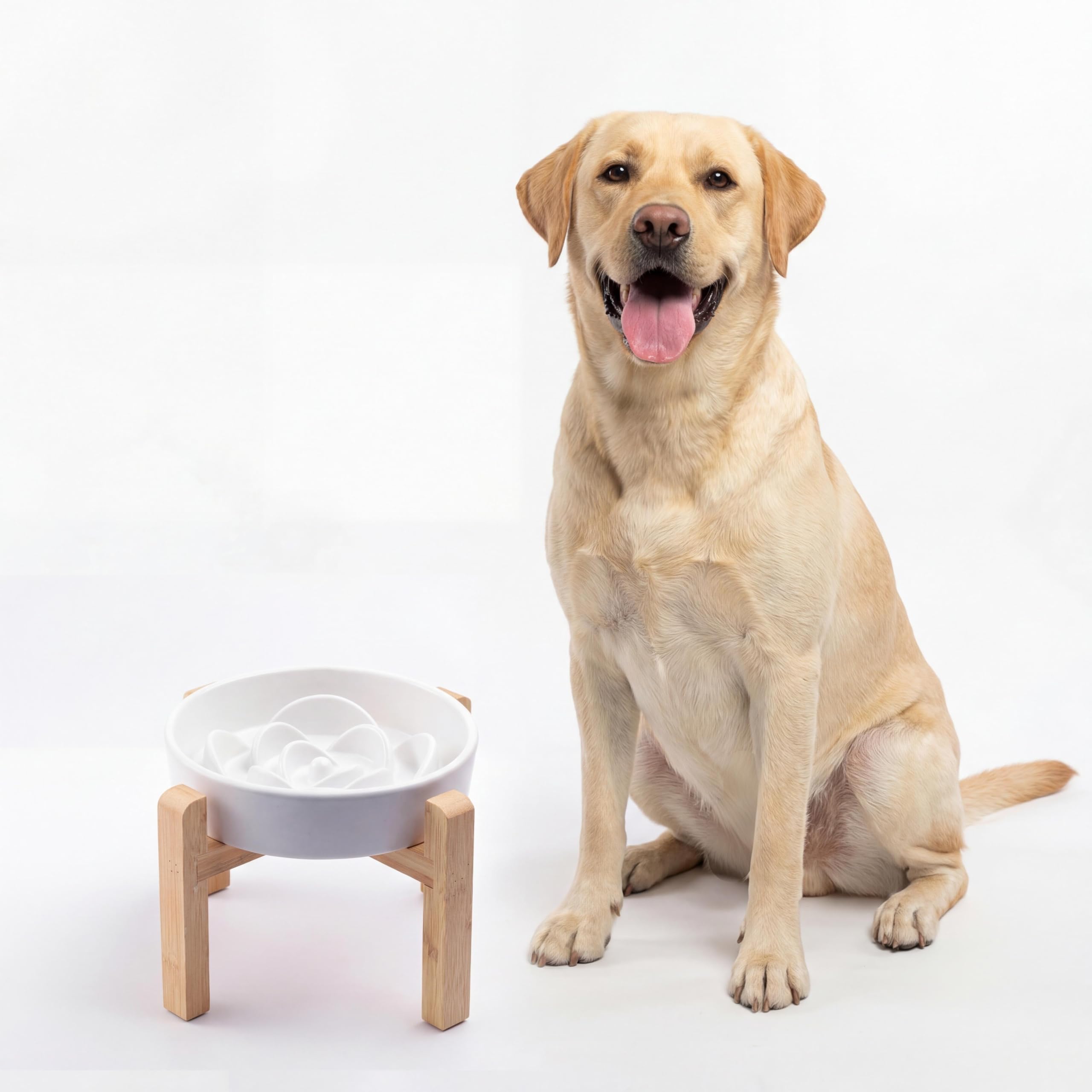 Generic bol ralentisseur en céramique pour chiens moyens et grands, pratique et sûr.
