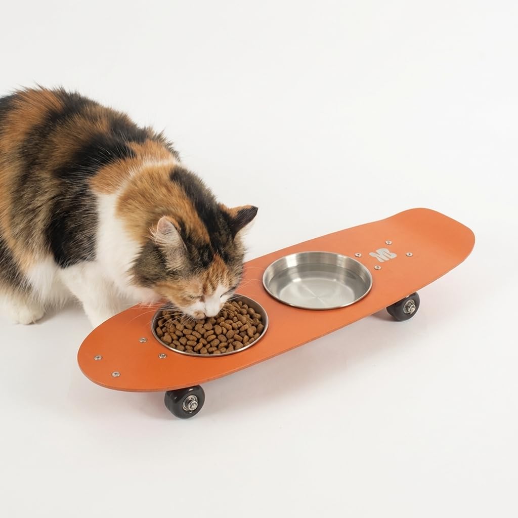 Bol Generic avec base en aluminium stable pour chiens et chats actifs.