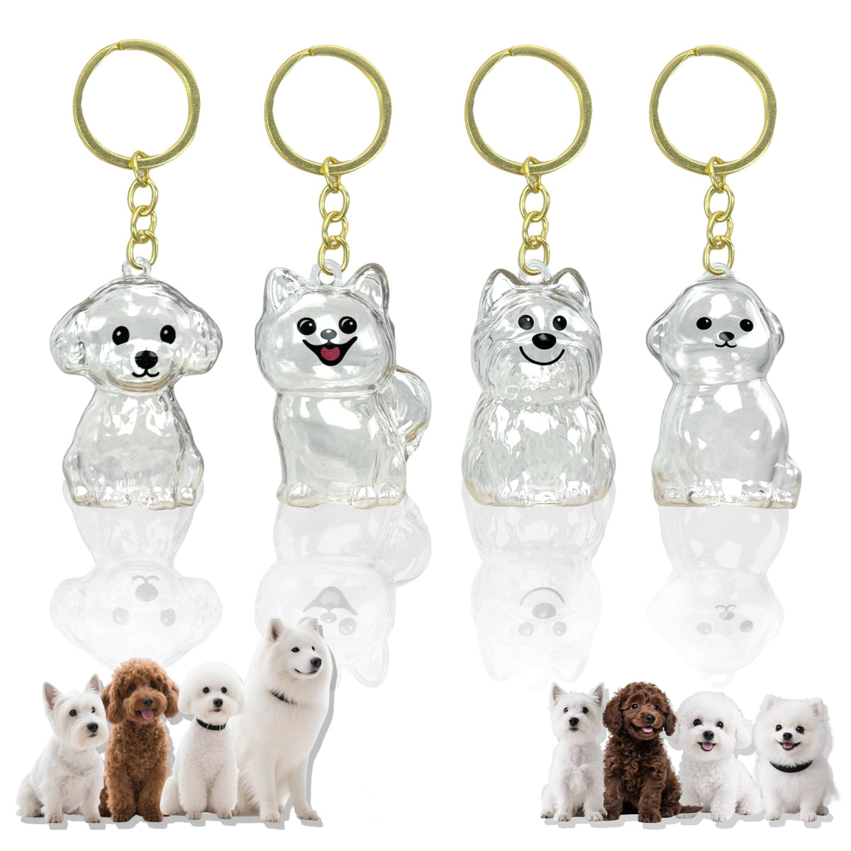 Generic porte-clés poils chien: bouteille souvenir compacte pour mémoire durable