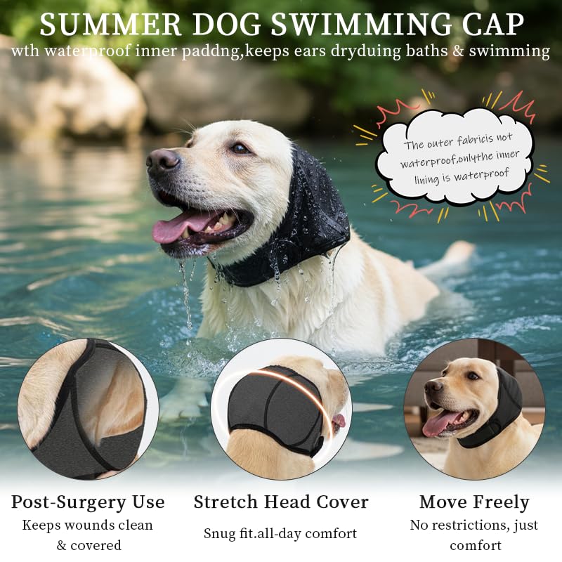 Generic cache-oreilles chien soin toilettage facilite les soins