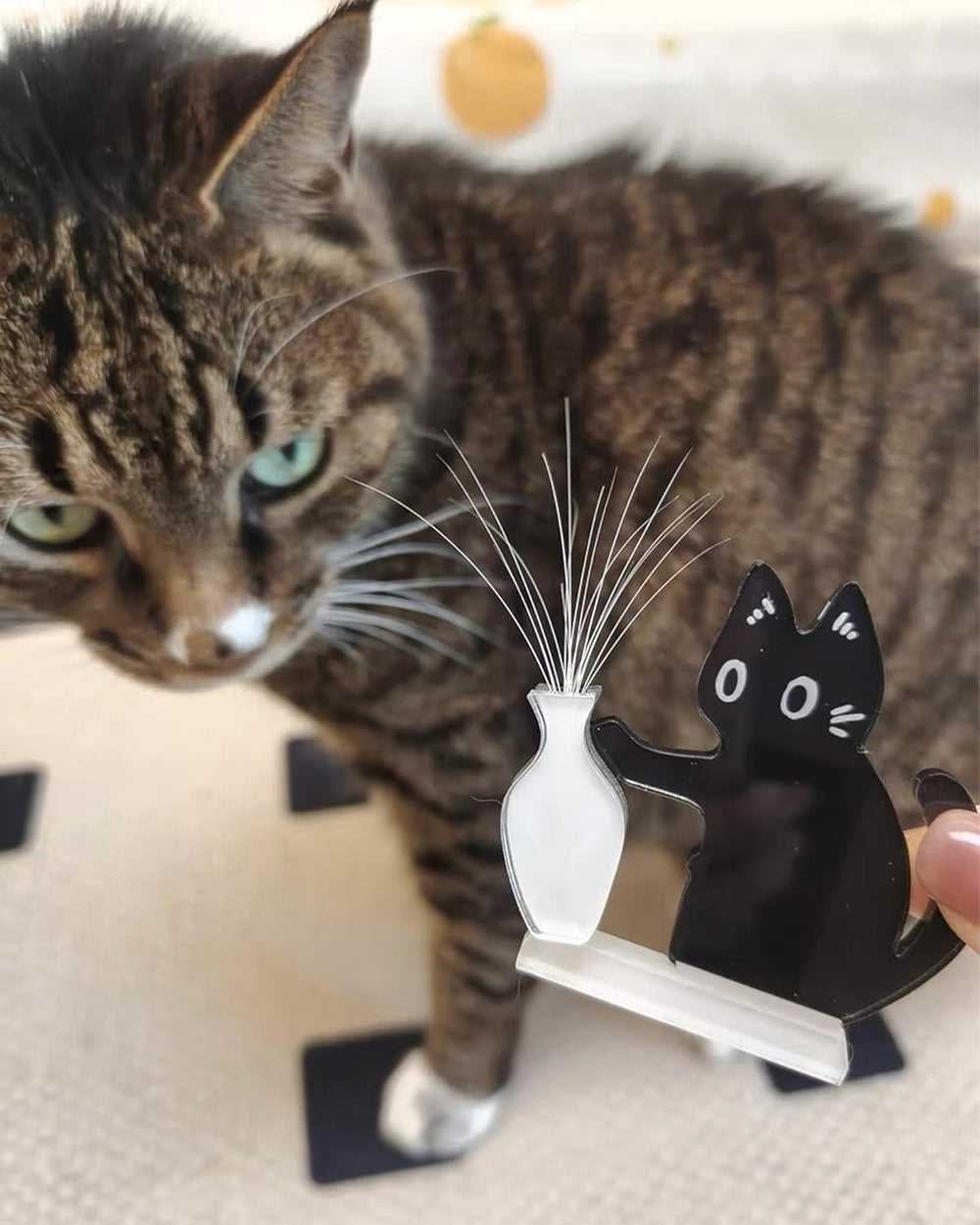 Generic cadeau chat – souvenir mémorial pour amoureux des chats