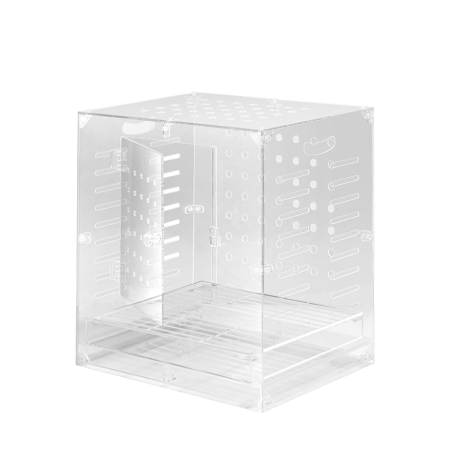 Generic cage oiseau en acrylique clair: vue 360 sans obstacle pour observer vos canaris