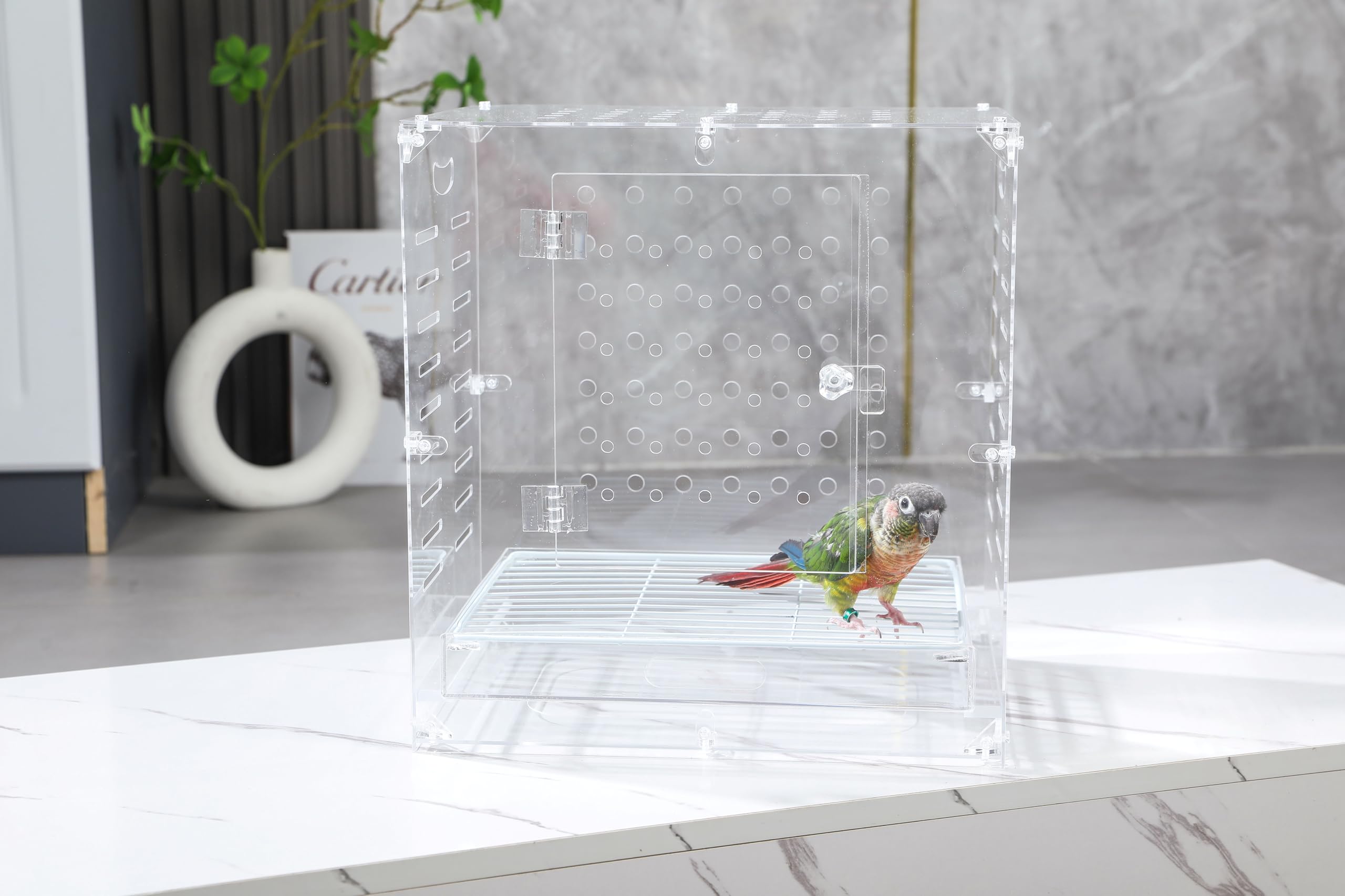 Generic cage oiseau en acrylique clair: design moderne et montage sans outil