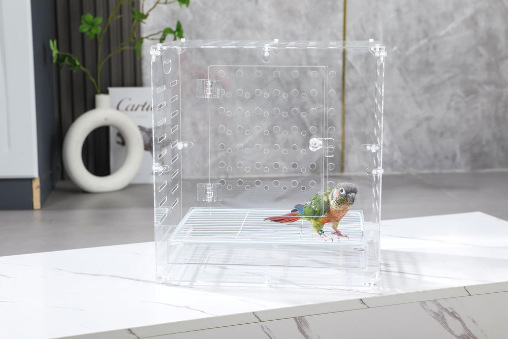 Generic cage oiseau en acrylique clair: design moderne et montage sans outil