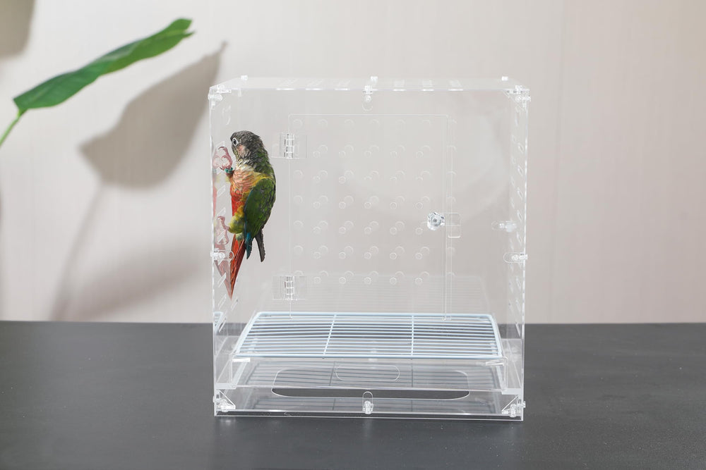 Generic cage oiseau en acrylique clair: intérieur spacieux pour petits oiseaux et jeux