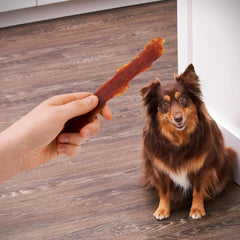 chien qui mâche generic canard jerky, friandise savoureuse et satisfaisante