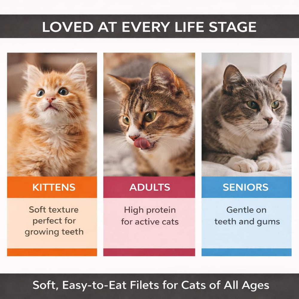 Generic Cat Filet Thon — arôme puissant qui attire les chats difficiles.