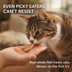 Generic Cat Filet Thon — portion 1oz idéale pour récompenser l’entraînement.