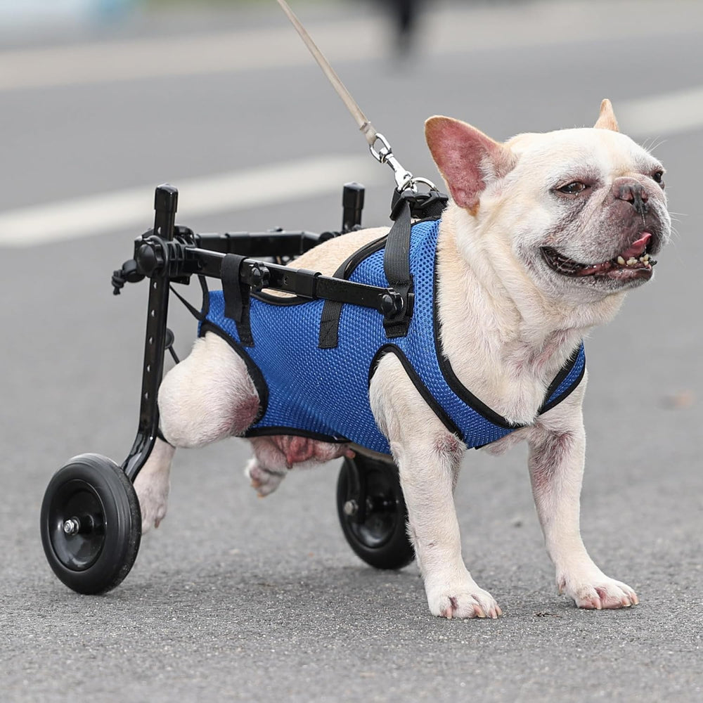 Generic chaise roulante pour petit chien, matériau léger et durable pour la mobilité.
