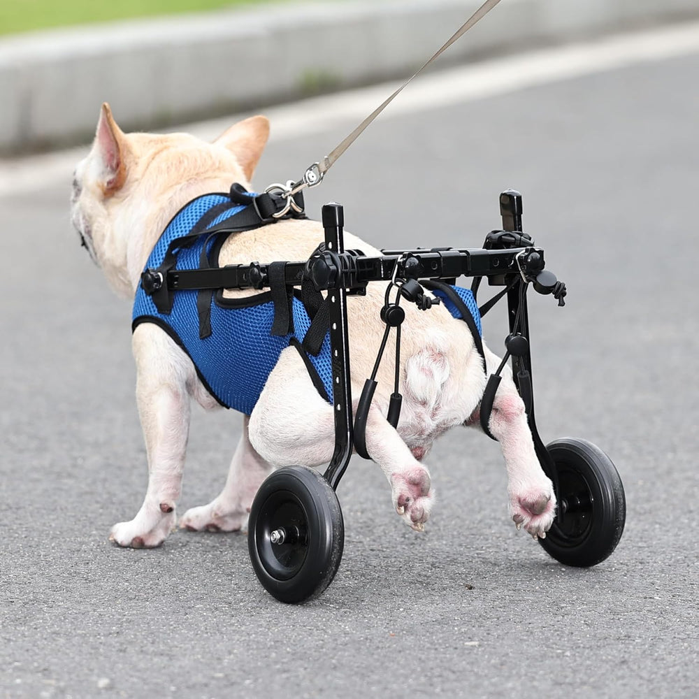 Generic chaise roulante pour petit chien, poids léger facilitant l’utilisation quotidienne.