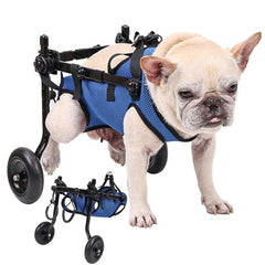 Generic chaise roulante pour petit chien, réglage hauteur pour un ajustement confortable.