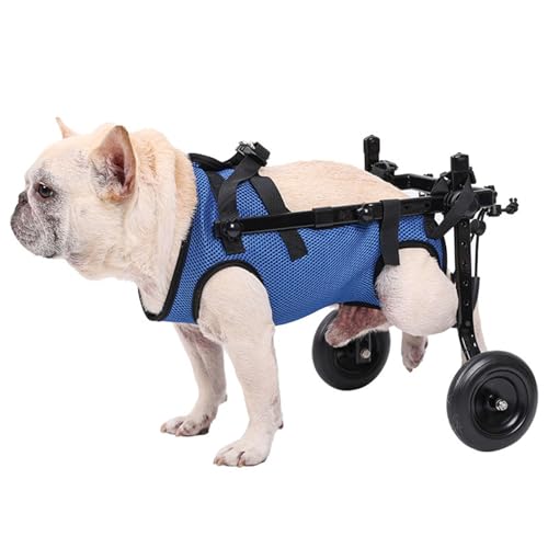 Generic chaise roulante pour petit chien, réglage largeur pour sécurité et stabilité.
