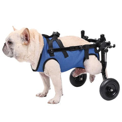 Generic chaise roulante pour petit chien, réglage largeur pour sécurité et stabilité.