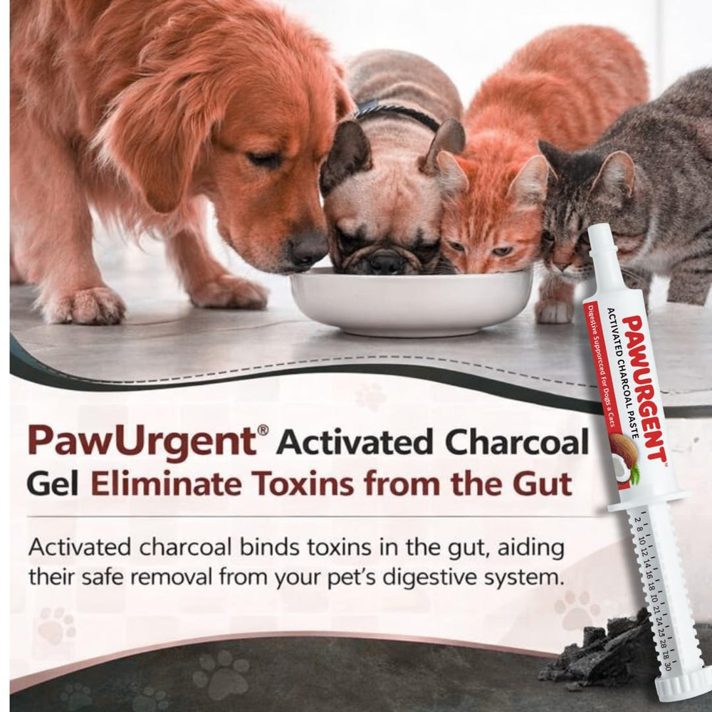 Generic Charbon Actif Chien – bienfaits supplémentaires sans OGM et sans gluten.