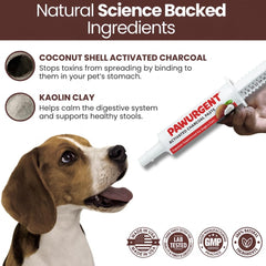 Generic Charbon Actif Chien – detoxification orale des toxines courantes.