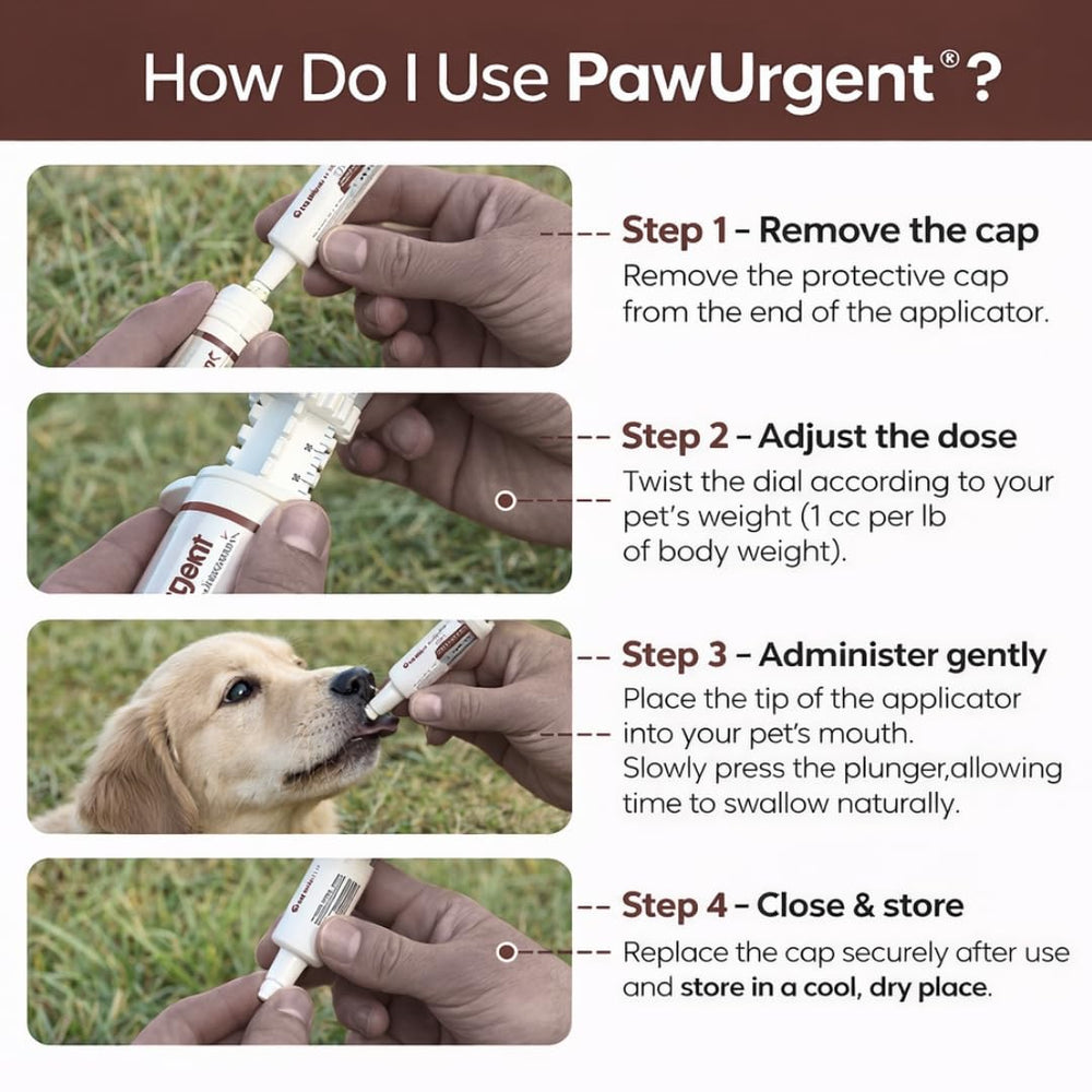 Generic Charbon Actif Chien – mélanger à la nourriture ou à l’eau pour dosage pratique.