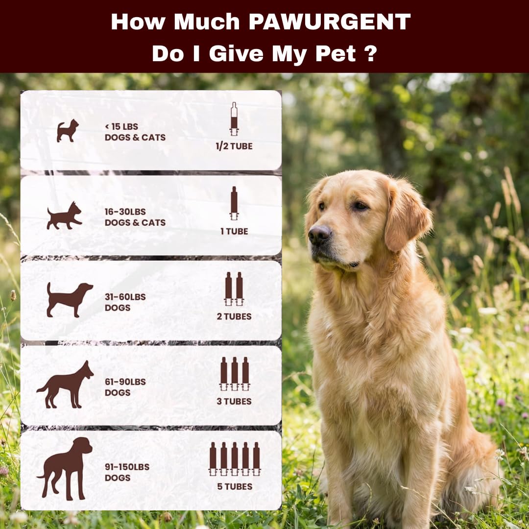 Generic Charbon Actif Chien – soutien digestif apaisant grâce au kaolin et à la pectine.