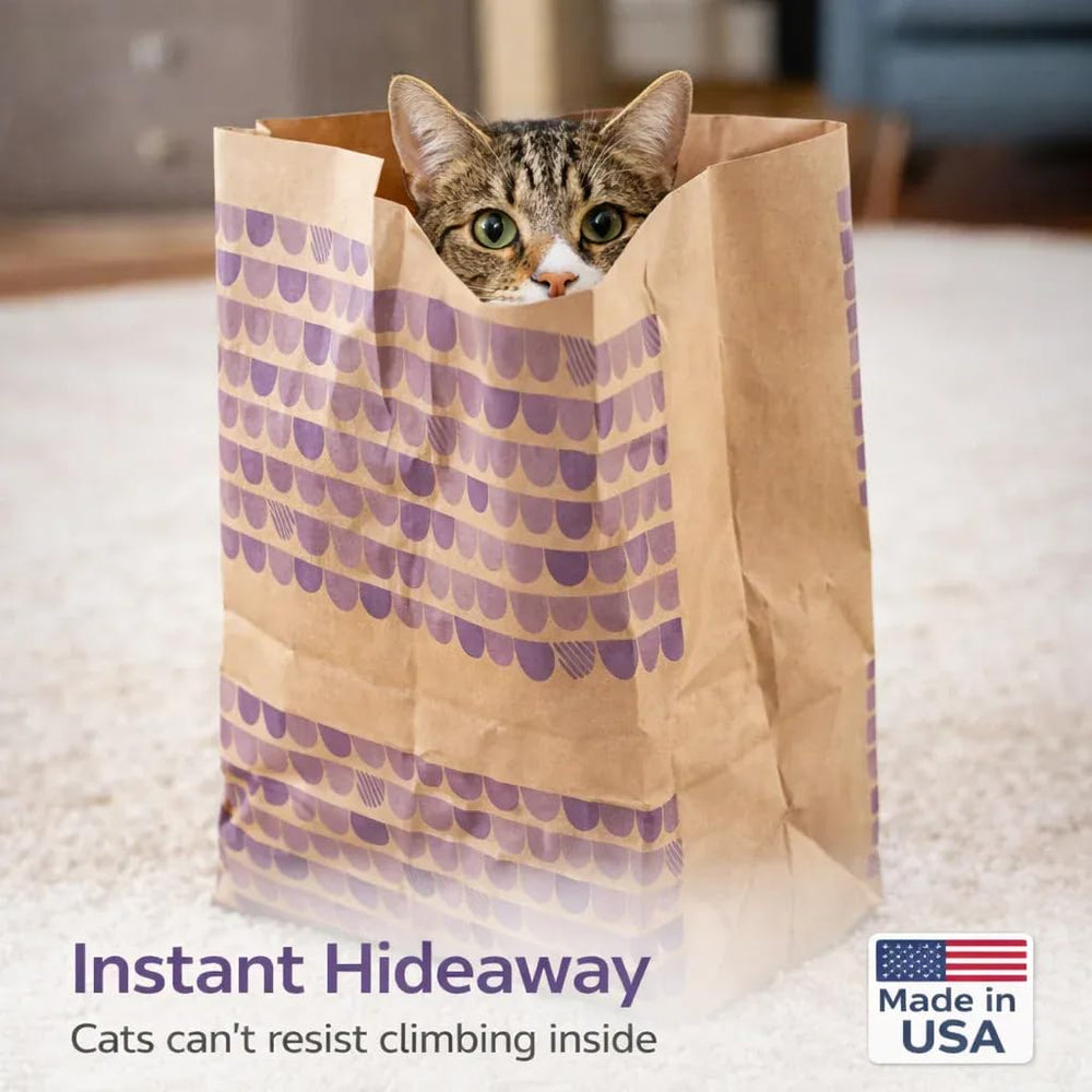 Generic chat explorant un sac en papier recyclable