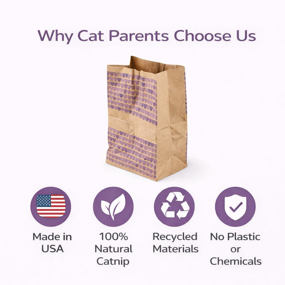 Generic chat réagit au sac en papier, jeu amusant et sûr